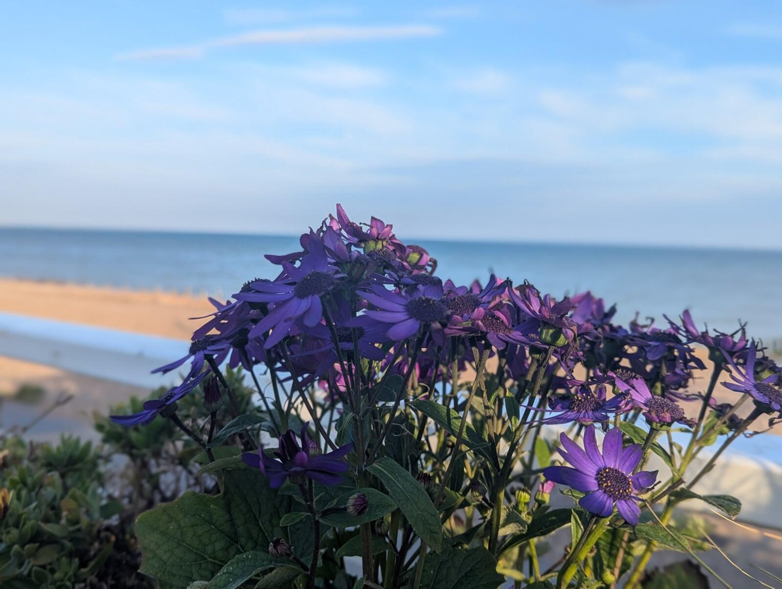 Easter on the South Downs, stay overnight on Sunday for less than £70